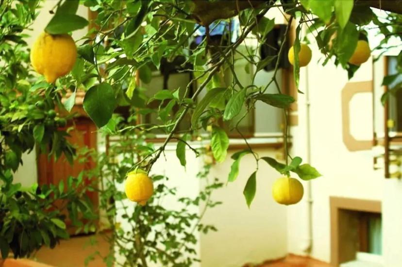 Boncuklu Otel Ölüdeniz Esterno foto